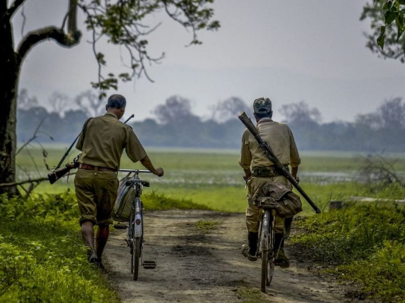 Meghalaya govt proposes to arm forest guards to fight poaching