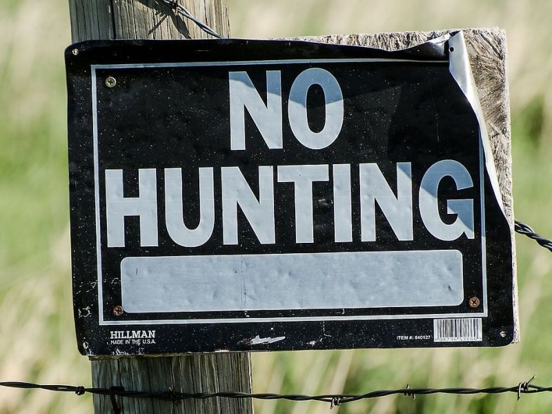 Unsustainable hunting threat to over 1,300 wild mammal species globally: Report