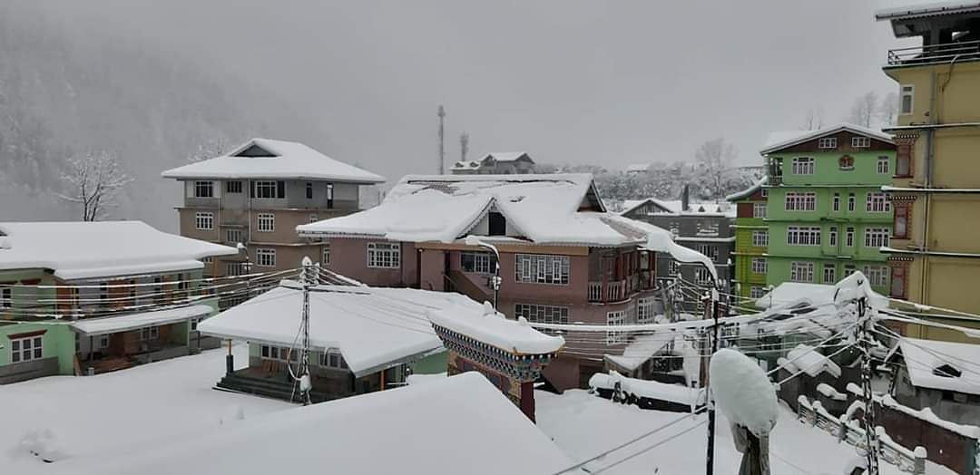 PHOTOS Snowfall turns Darjeeling, Sikkim into winter wonderlands